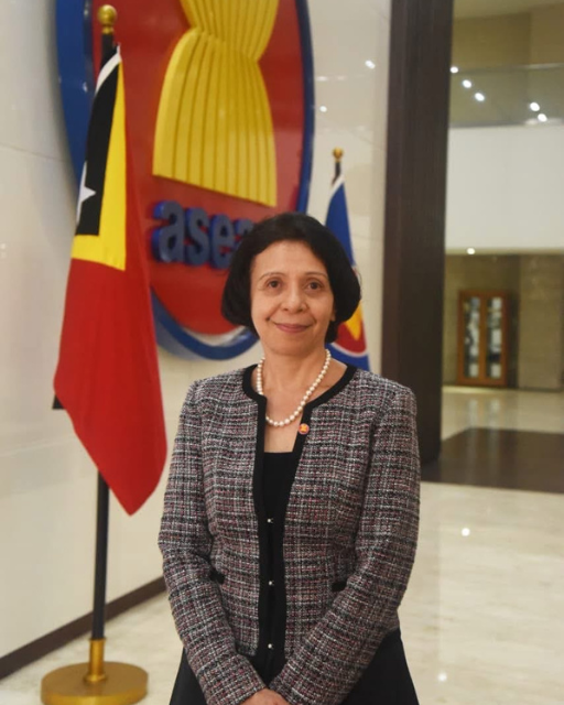 H.E. Natercia Cipriana Coelho da Silva